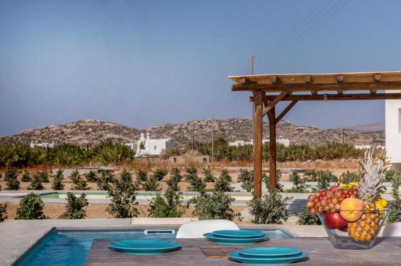 Bamboo Villa Naxos Mikri Vigla Buitenkant foto